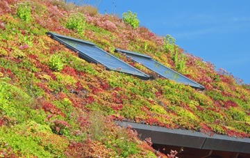 Gretton Fields living roof systems